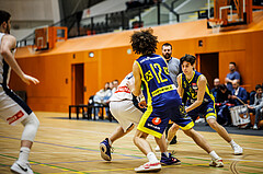 Basketball, Basketball Zweite Liga 2024/25, Grunddurchgang 17.Runde, Vienna Timberwolves, Future Team Steiermark, Moritz Gauster (9)