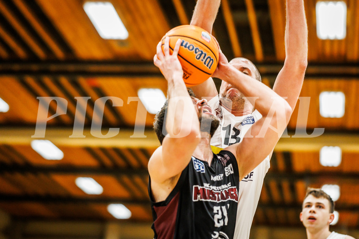Basketball, Basketball Zweite Liga 2024/25, Grunddurchgang 17.Runde, Mattersburg Rocks, Mistelbach Mustangs, #mm21#