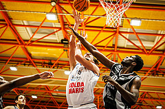 Basketball, win2day Basketball Superliga 2023/224, Grunddurchgang Runde 8, BBC Nord Dragonz, Kapfenberg Bulls, Mario Spaleta (15)