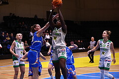 18.11.2023, Graz, Raiffeisen Sportpark, Basketball Damen Superliga 2022/23, Grunddurchgang, 4.Runde, UBI Holding Graz vs. DBB OCS Diamond Ladies Wels ,  