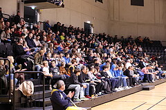 08.12.2023, Graz, Raiffeisen Sportpark Graz, Basketball Superliga 2023/24, Grunddurchgang, Runde 11, UBSC Raiffeisen Graz vs. BC Vienna