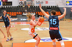 Basketball Austria Cup 2023/24, Viertelfinale BK Duchess Klosterneuburg vs. Vienna Timberwolves


