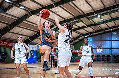 Basketball Basketball Damen Superliga 2021/22, Grunddurchgang 7.Runde Vienna D.C. Timberwolves vs. BK Duchess Klosterneuburg

