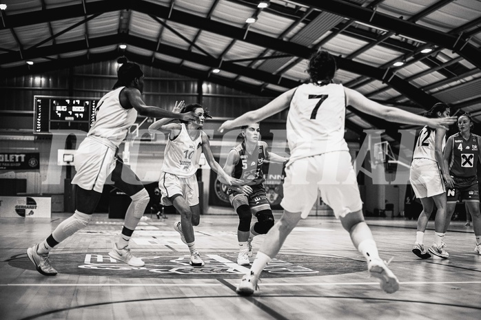 Basketball Basketball Damen Superliga 2021/22, Grunddurchgang 7.Runde Vienna D.C. Timberwolves vs. BK Duchess Klosterneuburg
