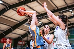 Basketball Basketball Damen Superliga 2021/22, Grunddurchgang 7.Runde Vienna D.C. Timberwolves vs. BK Duchess Klosterneuburg

