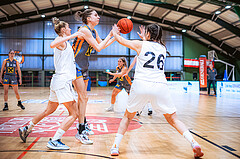 Basketball Basketball Damen Superliga 2021/22, Grunddurchgang 7.Runde Vienna D.C. Timberwolves vs. BK Duchess Klosterneuburg
