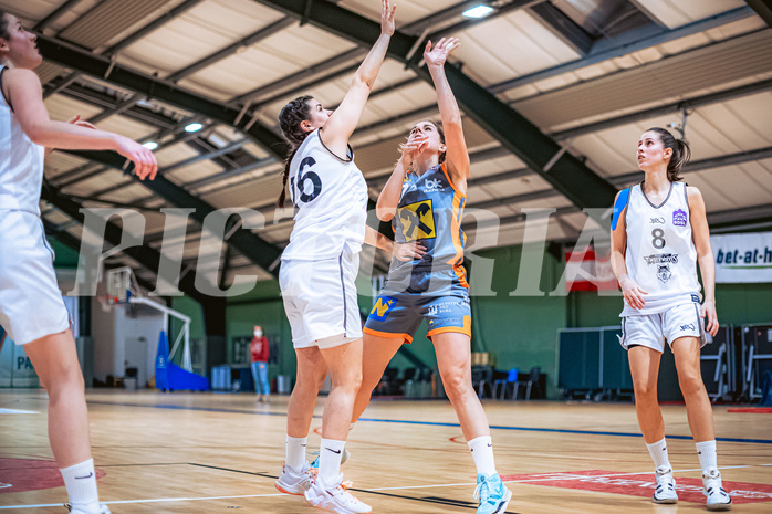Basketball Basketball Damen Superliga 2021/22, Grunddurchgang 7.Runde Vienna D.C. Timberwolves vs. BK Duchess Klosterneuburg
