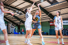 Basketball Basketball Damen Superliga 2021/22, Grunddurchgang 7.Runde Vienna D.C. Timberwolves vs. BK Duchess Klosterneuburg
