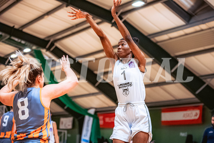Basketball Basketball Damen Superliga 2021/22, Grunddurchgang 7.Runde Vienna D.C. Timberwolves vs. BK Duchess Klosterneuburg
