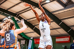 Basketball Basketball Damen Superliga 2021/22, Grunddurchgang 7.Runde Vienna D.C. Timberwolves vs. BK Duchess Klosterneuburg
