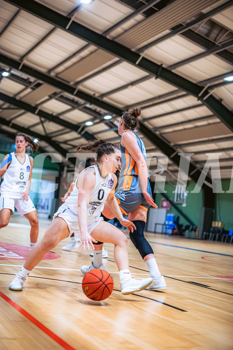 Basketball Basketball Damen Superliga 2021/22, Grunddurchgang 7.Runde Vienna D.C. Timberwolves vs. BK Duchess Klosterneuburg
