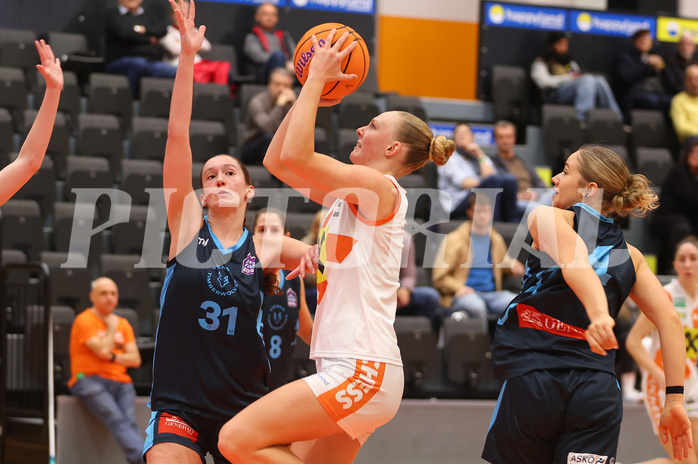 Basketball Damen Superliga 2024/25, Grunddurchgang 5.Runde BK Duchess Klosterneuburg vs. Vienna Timberwolves


