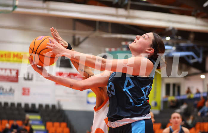 Basketball Damen Superliga 2024/25, Grunddurchgang 5.Runde BK Duchess Klosterneuburg vs. Vienna Timberwolves


