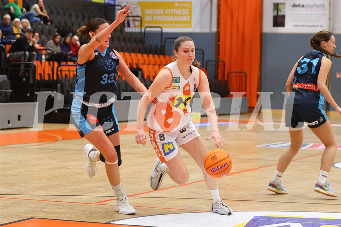 Basketball Damen Superliga 2024/25, Grunddurchgang 5.Runde BK Duchess Klosterneuburg vs. Vienna Timberwolves


