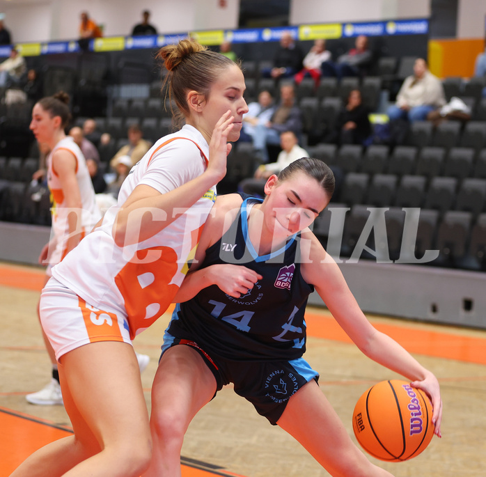 Basketball Damen Superliga 2024/25, Grunddurchgang 5.Runde BK Duchess Klosterneuburg vs. Vienna Timberwolves


