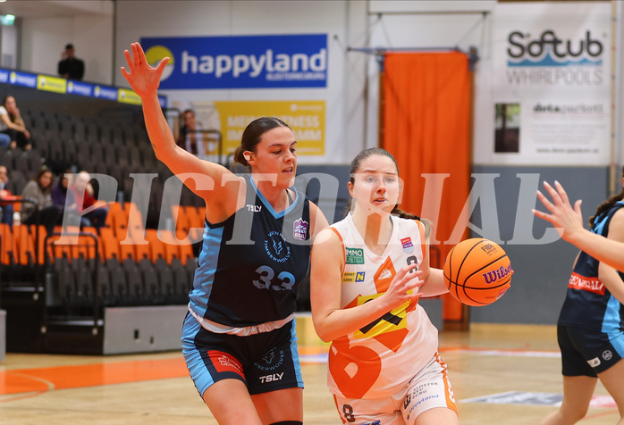 Basketball Damen Superliga 2024/25, Grunddurchgang 5.Runde BK Duchess Klosterneuburg vs. Vienna Timberwolves


