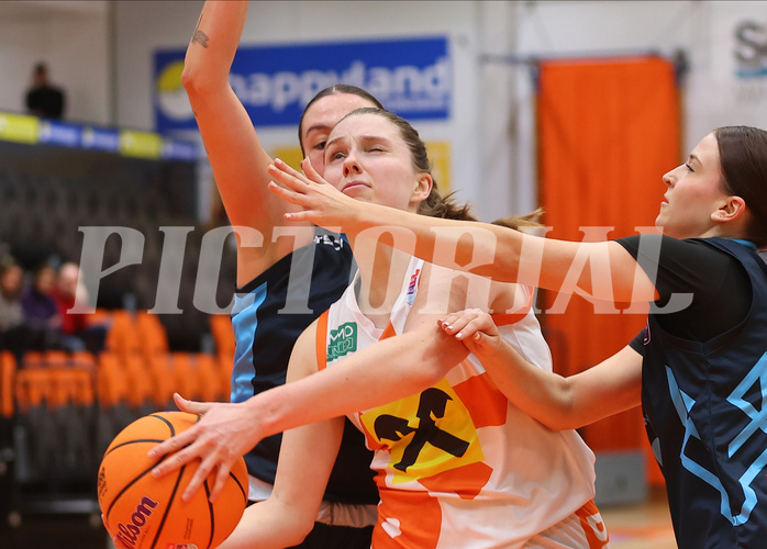 Basketball Damen Superliga 2024/25, Grunddurchgang 5.Runde BK Duchess Klosterneuburg vs. Vienna Timberwolves


