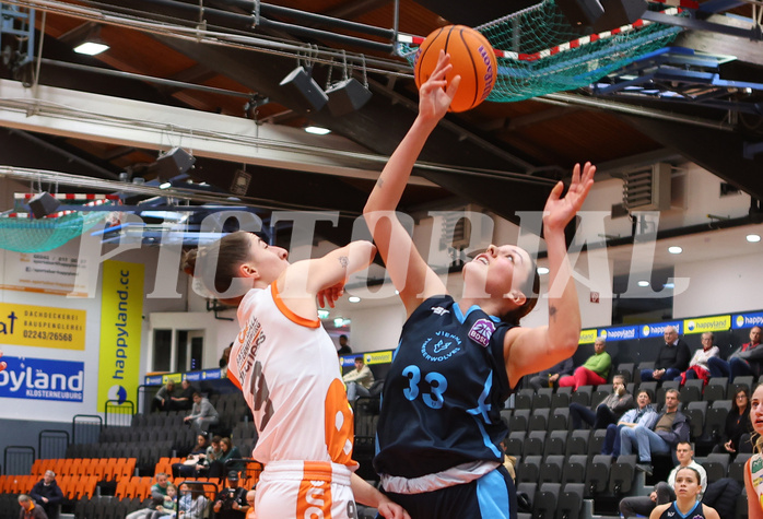 Basketball Damen Superliga 2024/25, Grunddurchgang 5.Runde BK Duchess Klosterneuburg vs. Vienna Timberwolves


