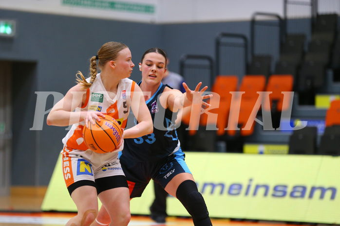 Basketball Damen Superliga 2024/25, Grunddurchgang 5.Runde BK Duchess Klosterneuburg vs. Vienna Timberwolves


