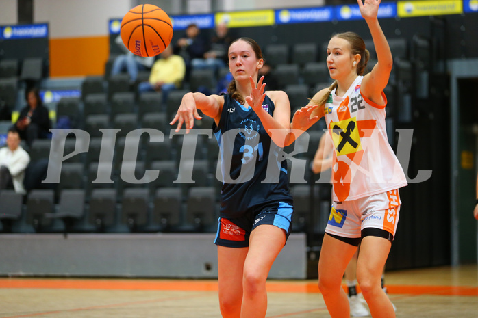 Basketball Damen Superliga 2024/25, Grunddurchgang 5.Runde BK Duchess Klosterneuburg vs. Vienna Timberwolves


