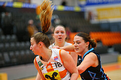 Basketball Damen Superliga 2024/25, Grunddurchgang 5.Runde BK Duchess Klosterneuburg vs. Vienna Timberwolves


