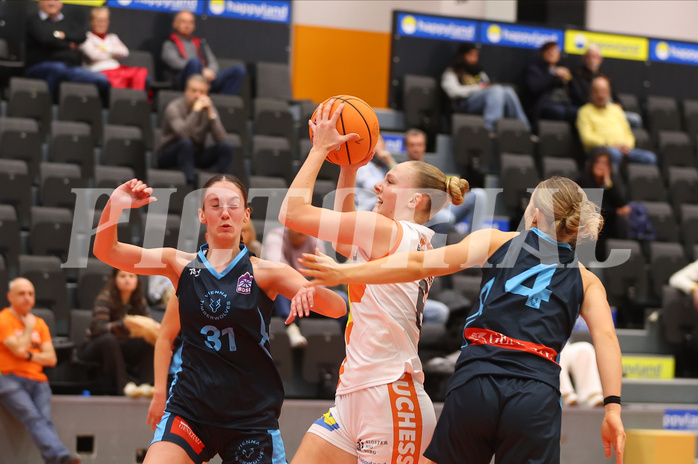 Basketball Damen Superliga 2024/25, Grunddurchgang 5.Runde BK Duchess Klosterneuburg vs. Vienna Timberwolves


