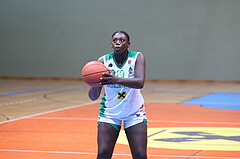 13.11.2022, Unionhalle A, Damen Austria Basketball Cup 2022/23, Viertelfinale,  
UBI Holding Graz vs. Vienna Timberwolves,  