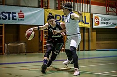 Basketball, 2.Bundesliga, Grunddurchgang 15.Runde, BBC Nord Dragonz, Mattersburg Rocks, Philipp GERM (12)
