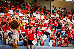 Basketball, win2day Basketball Superliga 2023/24, Halbfinale Spiel 1, Traiskirchen Lions, Oberwart Gunners, Lions Fans