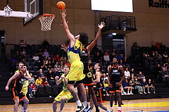 28.10.2023, Graz, Raiffeisen Sportpark Graz, Basketball Austria Cup 2023/24, Achtelfinale, UBSC Raiffeisen Graz vs. CITIES Panthers Fürstenfeld