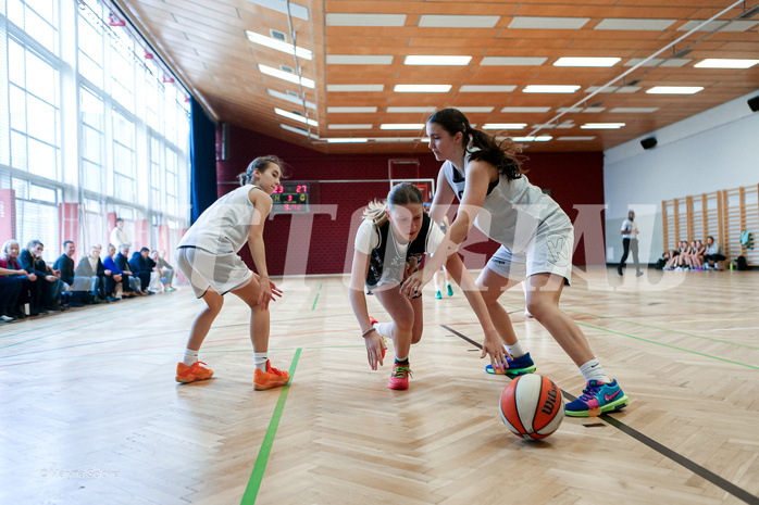 16.03.2025 Österreichischer Basketballverband 2024/25, SLWU14 Basket Flames UNION vs. VKL Vikings Swans