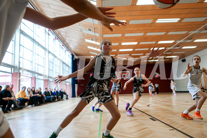 16.03.2025 Österreichischer Basketballverband 2024/25, SLWU14 Basket Flames UNION vs. VKL Vikings Swans