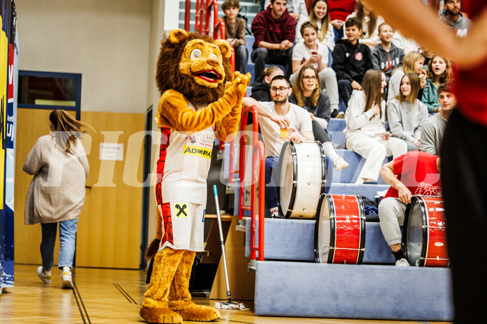 Basketball, win2day Basketball Superliga 2023/24, Grunddurchgang 8.Runde, Traiskirchen Lions, UBSC Graz, Freddie (Mascot)