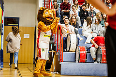 Basketball, win2day Basketball Superliga 2023/24, Grunddurchgang 8.Runde, Traiskirchen Lions, UBSC Graz, Freddie (Mascot)