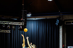 Basketball, Win2Day Superliga 2023/24, Grunddurchgang 8.Runde, BC Vienna, Vienna Timberwolves, Ziga Fifolt (13), Darko Bajo (13)