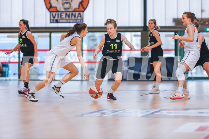 Basketball Basketball Superliga 2020/21, Grunddurchgang 12.Runde Vienna D.C. Timberwolves vs. Basket Flames
