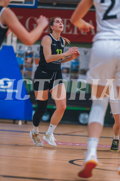 Basketball Basketball Superliga 2020/21, Grunddurchgang 12.Runde Vienna D.C. Timberwolves vs. Basket Flames
