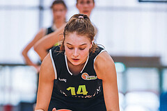 Basketball Basketball Superliga 2020/21, Grunddurchgang 12.Runde Vienna D.C. Timberwolves vs. Basket Flames
