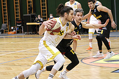 Basketball 2.Bundesliga 2020/21 Grunddurchgang 19.Runde  Fürstenfeld Panthers vs Güssing/Jennersdorf Blackbirds