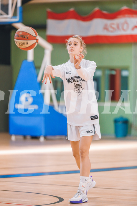 Basketball Basketball Superliga 2020/21, Grunddurchgang 12.Runde Vienna D.C. Timberwolves vs. Basket Flames
