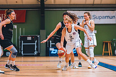 Basketball Basketball Superliga 2020/21, Grunddurchgang 12.Runde Vienna D.C. Timberwolves vs. Basket Flames
