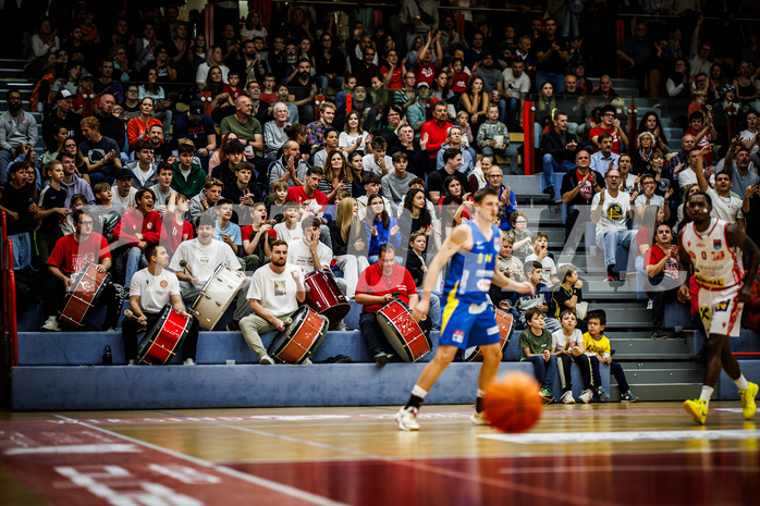 Basketball, Win2Day Superliga 2024/25, Grunddurchgang 4.Runde, Traiskirchen Lions, St. Pölten, Publikum