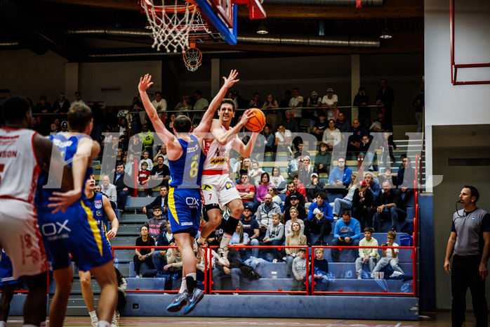 Basketball, Win2Day Superliga 2024/25, Grunddurchgang 4.Runde, Traiskirchen Lions, St. Pölten, Benedikt Güttl (7)