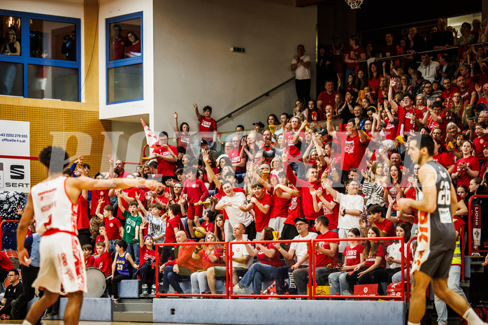 Basketball, win2day Basketball Superliga 2024/25, Playoff Viertelfinale 2. Spiel, Traiskirchen Lions, Klosterneuburg Dukes, Lions Fans