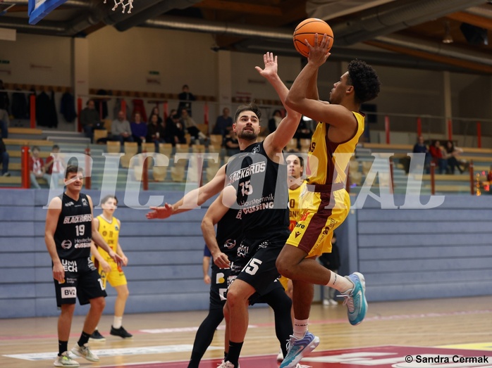 Basketball Zweite Liga 2024/25, Grunddurchgang 11.Runde Traiskirchen Lions NextGen vs. Güssing Blackbirds