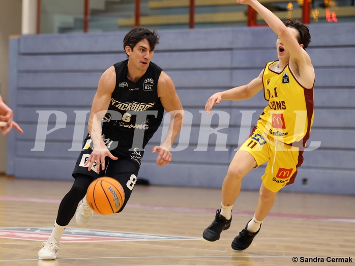 Basketball Zweite Liga 2024/25, Grunddurchgang 11.Runde Traiskirchen Lions NextGen vs. Güssing Blackbirds


