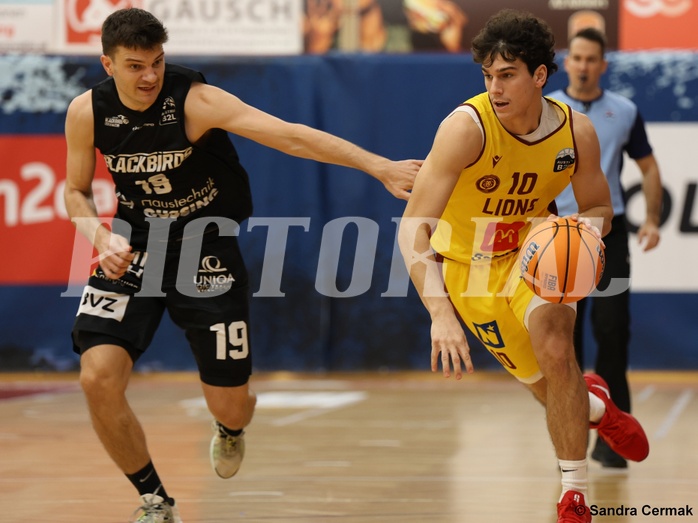 Basketball Zweite Liga 2024/25, Grunddurchgang 11.Runde Traiskirchen Lions NextGen vs. Güssing Blackbirds


