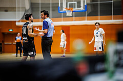 Basketball, Basketball Zweite Liga 2024/25, Grunddurchgang 11.Runde, Vienna Timberwolves, Mattersburg Rocks, Julian Alper (10), Schiedsrichter