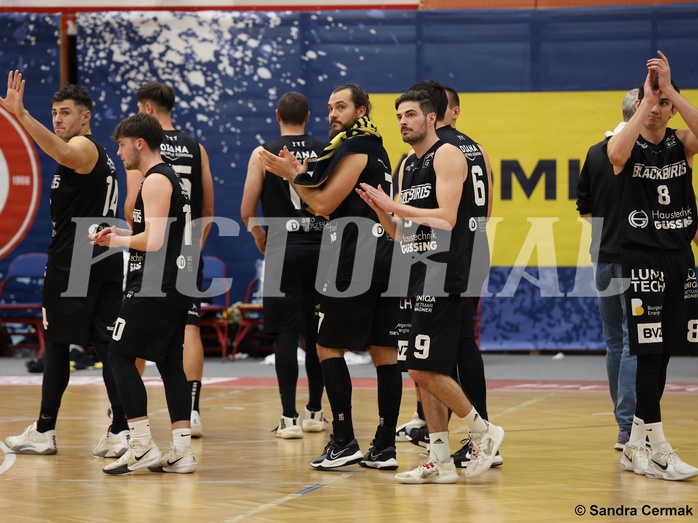 Basketball Zweite Liga 2024/25, Grunddurchgang 11.Runde Traiskirchen Lions NextGen vs. Güssing Blackbirds


