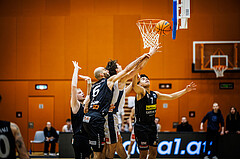 Basketball, Basketball Zweite Liga 2024/25, Grunddurchgang 11.Runde, Vienna Timberwolves, Mattersburg Rocks, Dominik Alturban (6), Corneluis Stubenvoll (15), Enzo Jantzen (7)